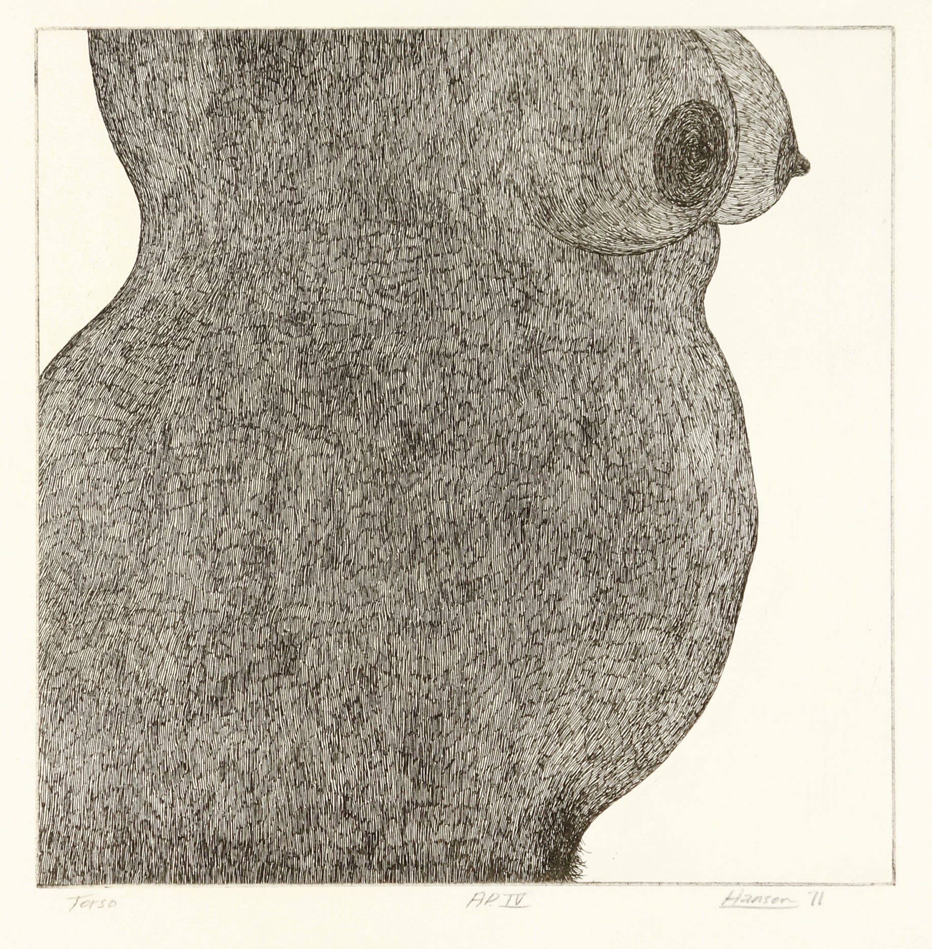 Torso