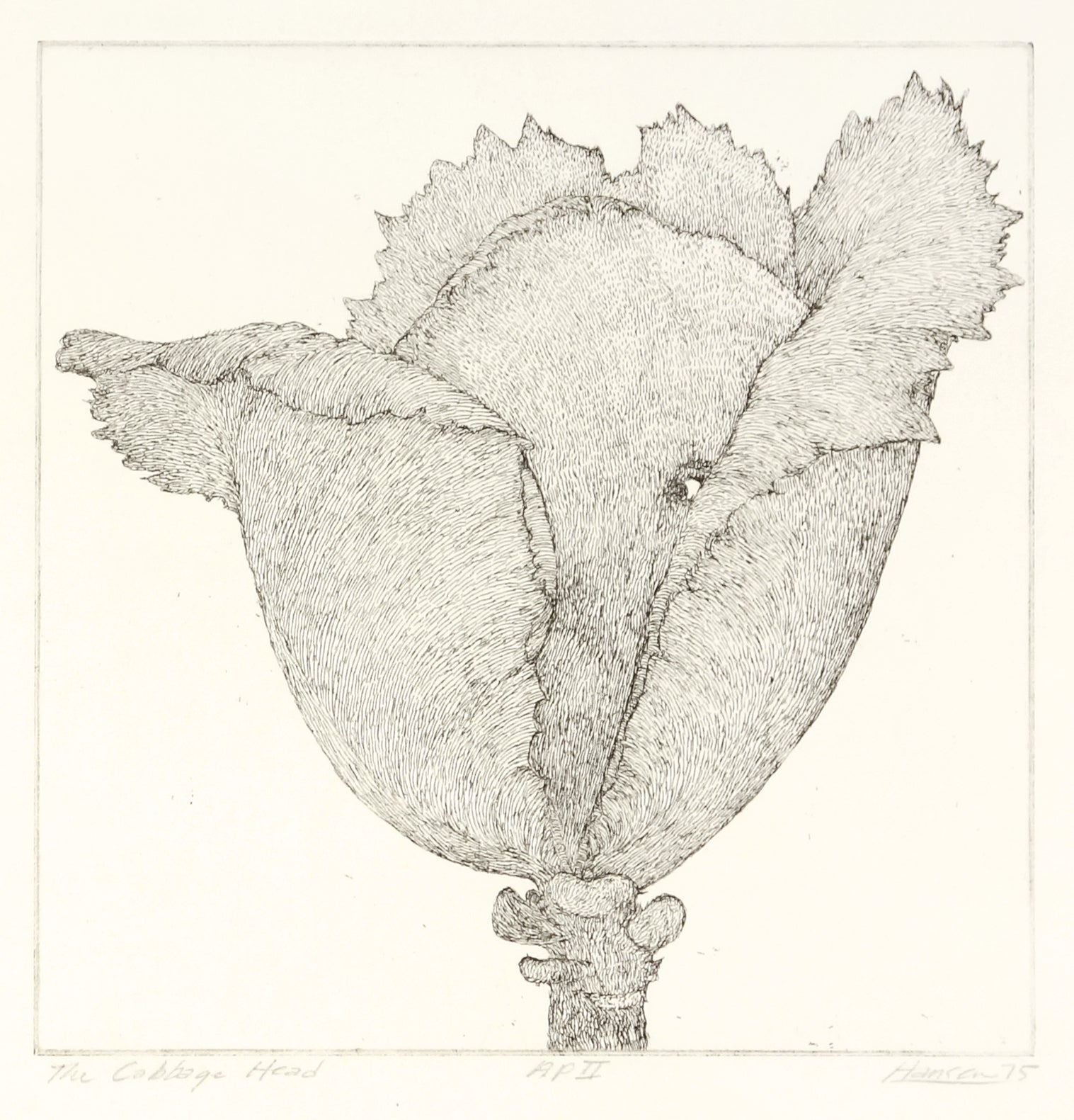 The Cabbage Head by Art Hansen - Davidson Galleries