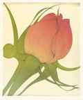Three Roses