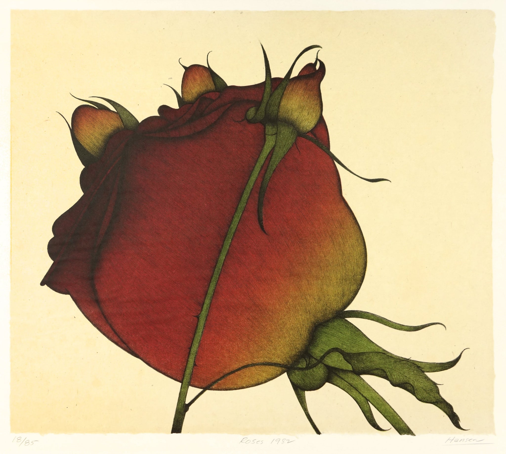 Roses 1982 by Art Hansen - Davidson Galleries
