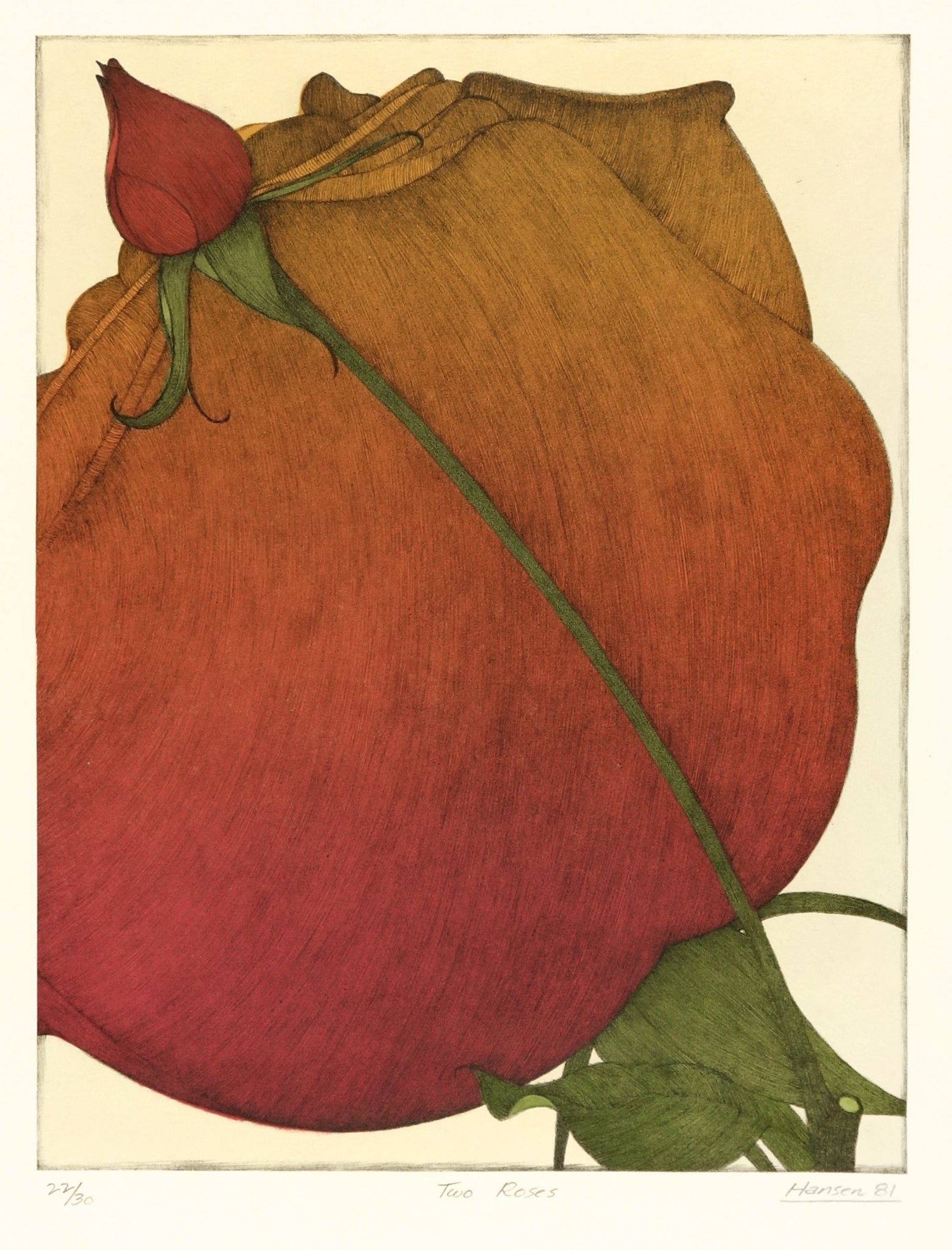 Two Roses (1981)