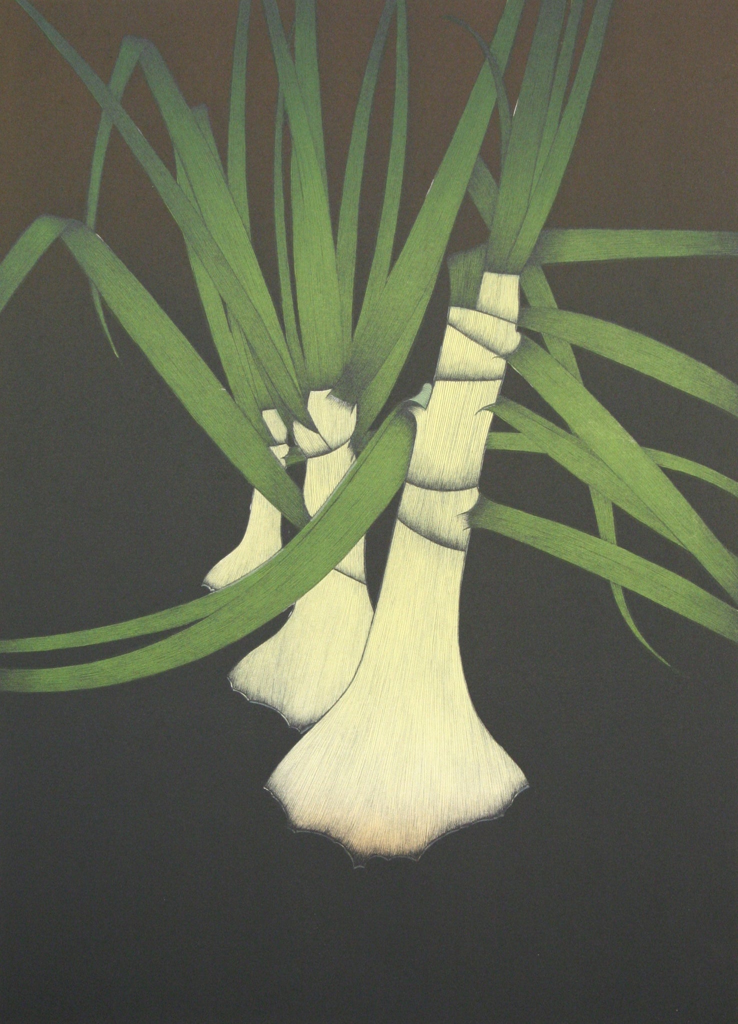 Three Onions by Art Hansen - Davidson Galleries