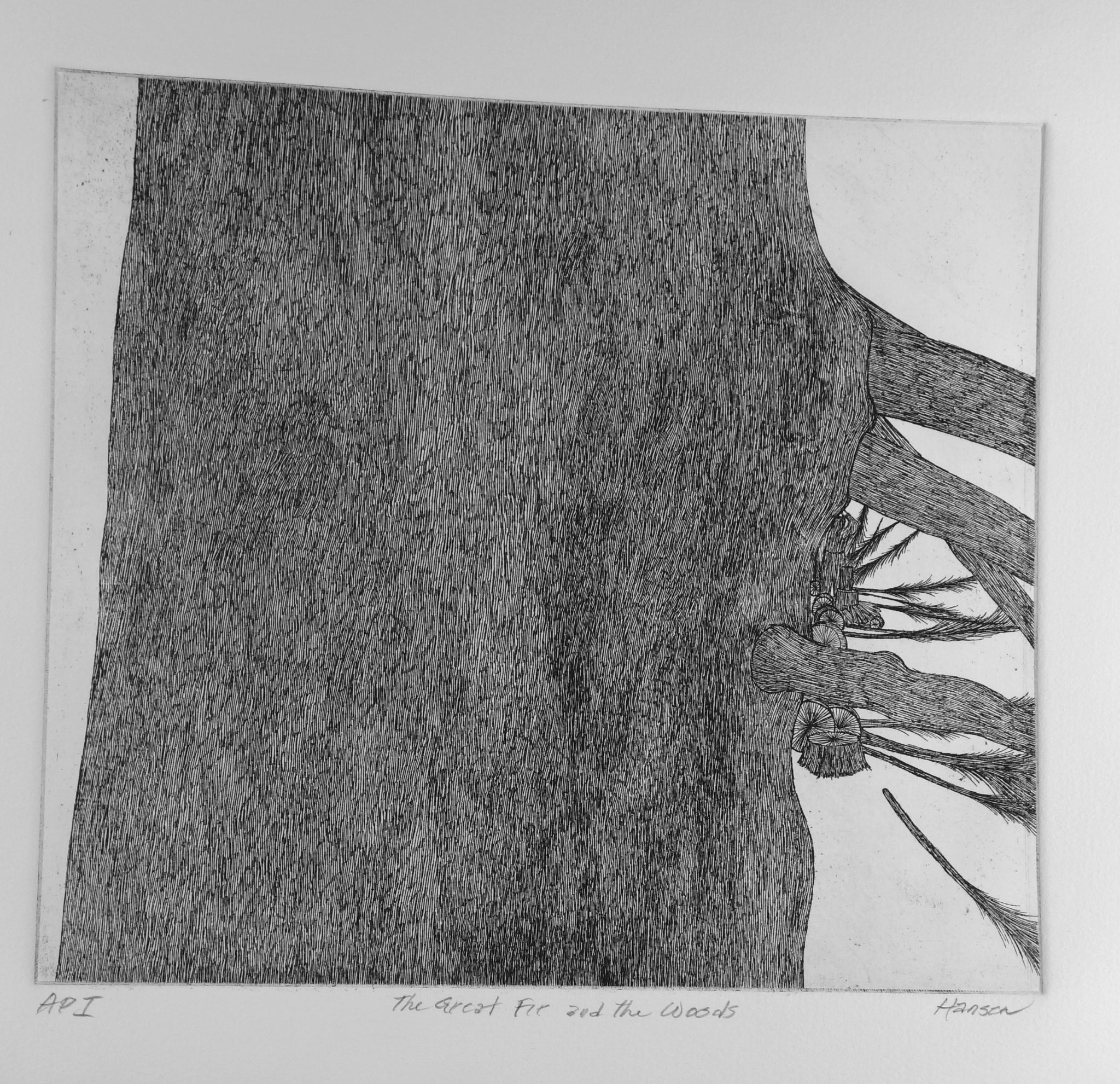 The Great Fir and the Woods