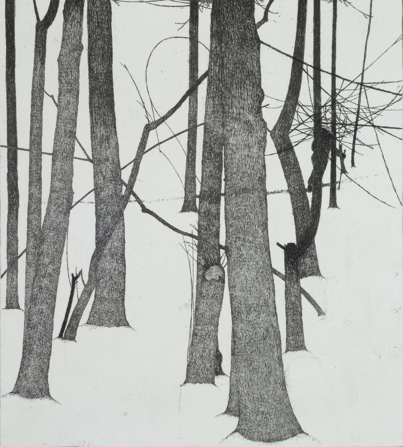 Winter, Forest, and the Wanderer