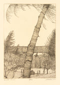 Winter Wind