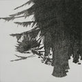 The Forest and the Woodcutter