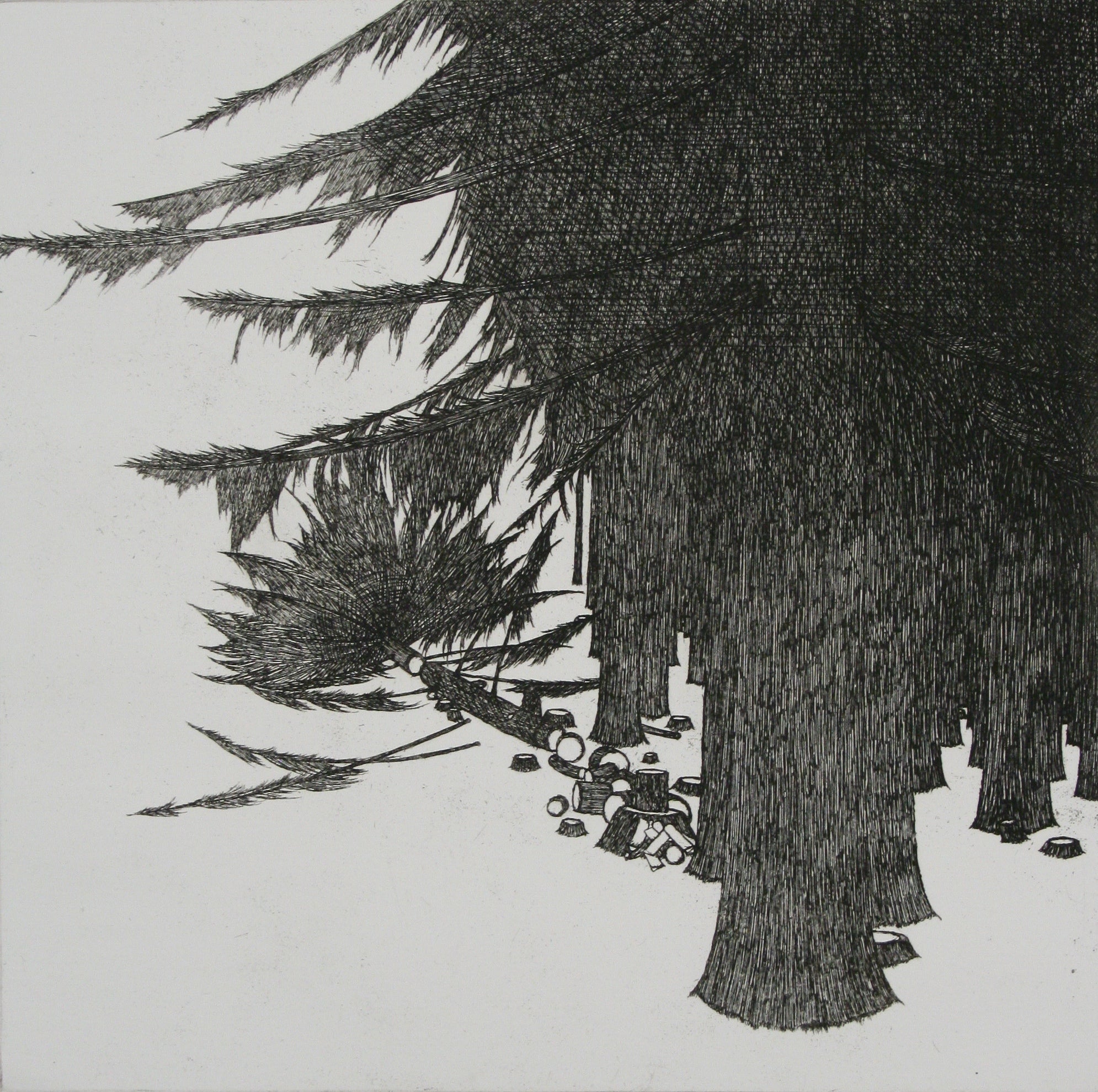 The Forest and the Woodcutter