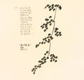 Dream of Flowers by Chul Soo Lee - Davidson Galleries