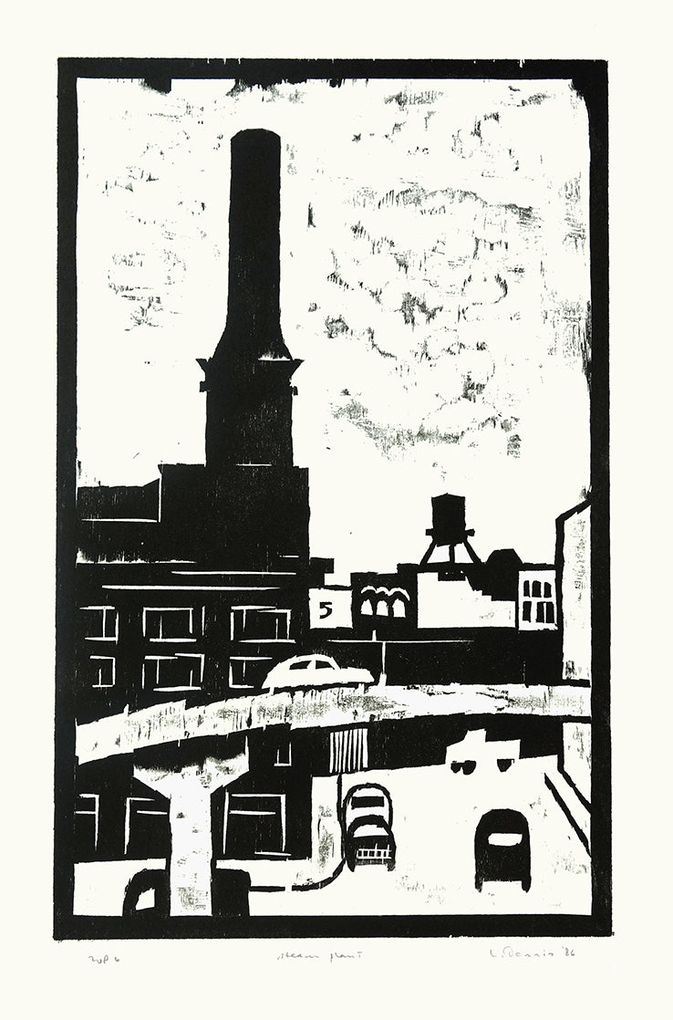 Steam Plant