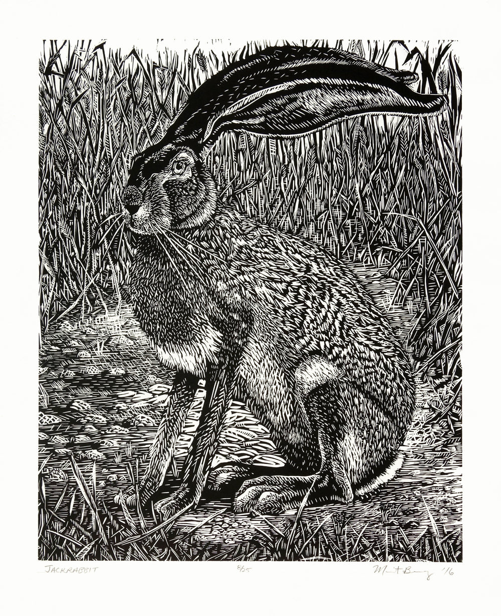 Jackrabbit by Marit Berg - Davidson Galleries