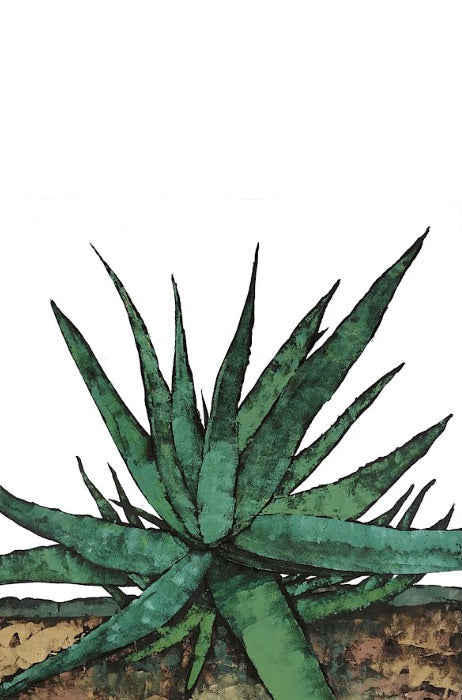 Cactus Plant by Robert Connell - Davidson Galleries