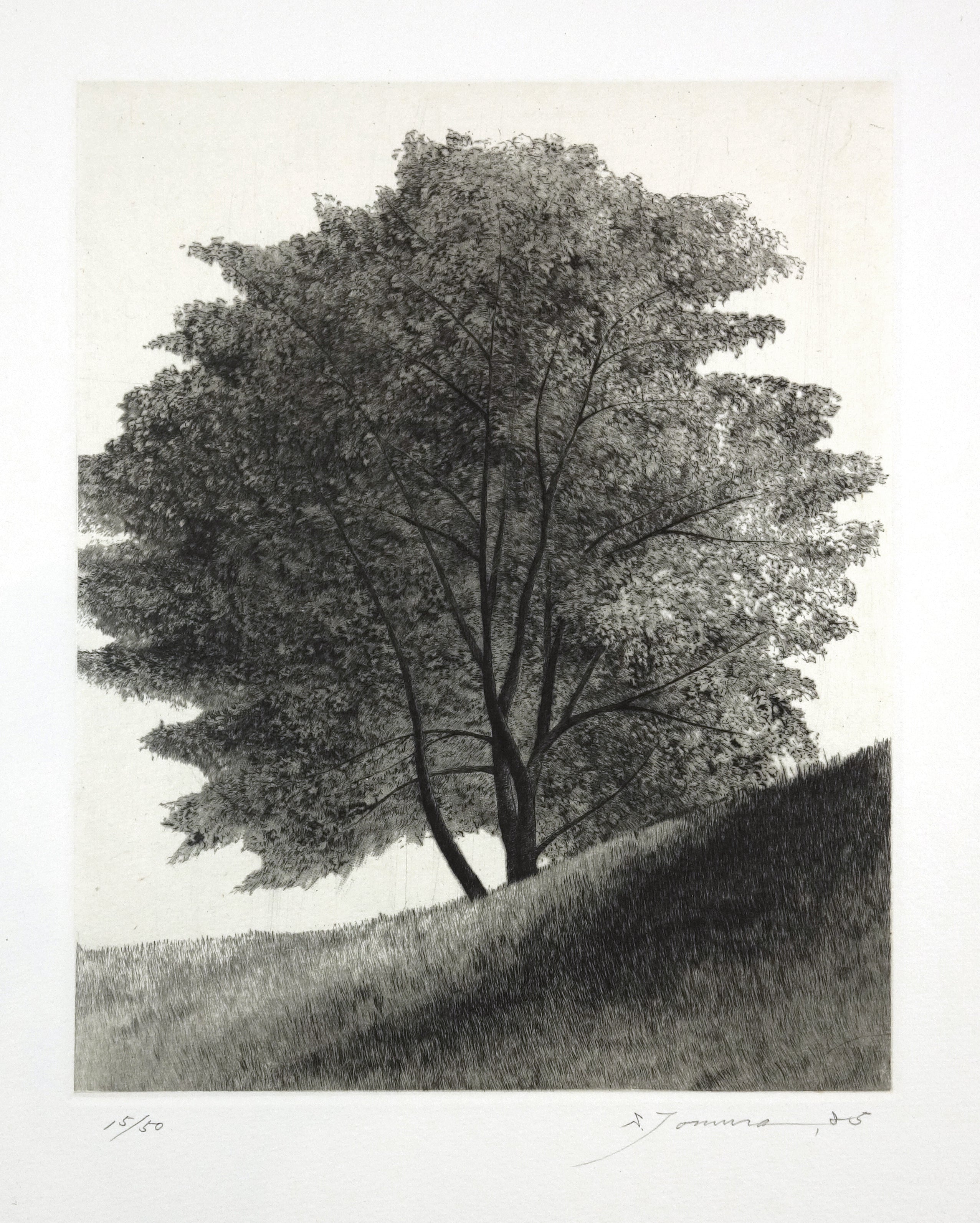 Shade of a Tree by Shigeki Tomura - Davidson Galleries