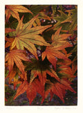 Colors by Stephen McMillan - Davidson Galleries