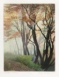 October Colors by Stephen McMillan - Davidson Galleries