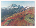 Mountain Colors by Stephen McMillan - Davidson Galleries
