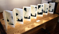 Origin - Beginning (Artist Book) by Seiko Tachibana - Davidson Galleries