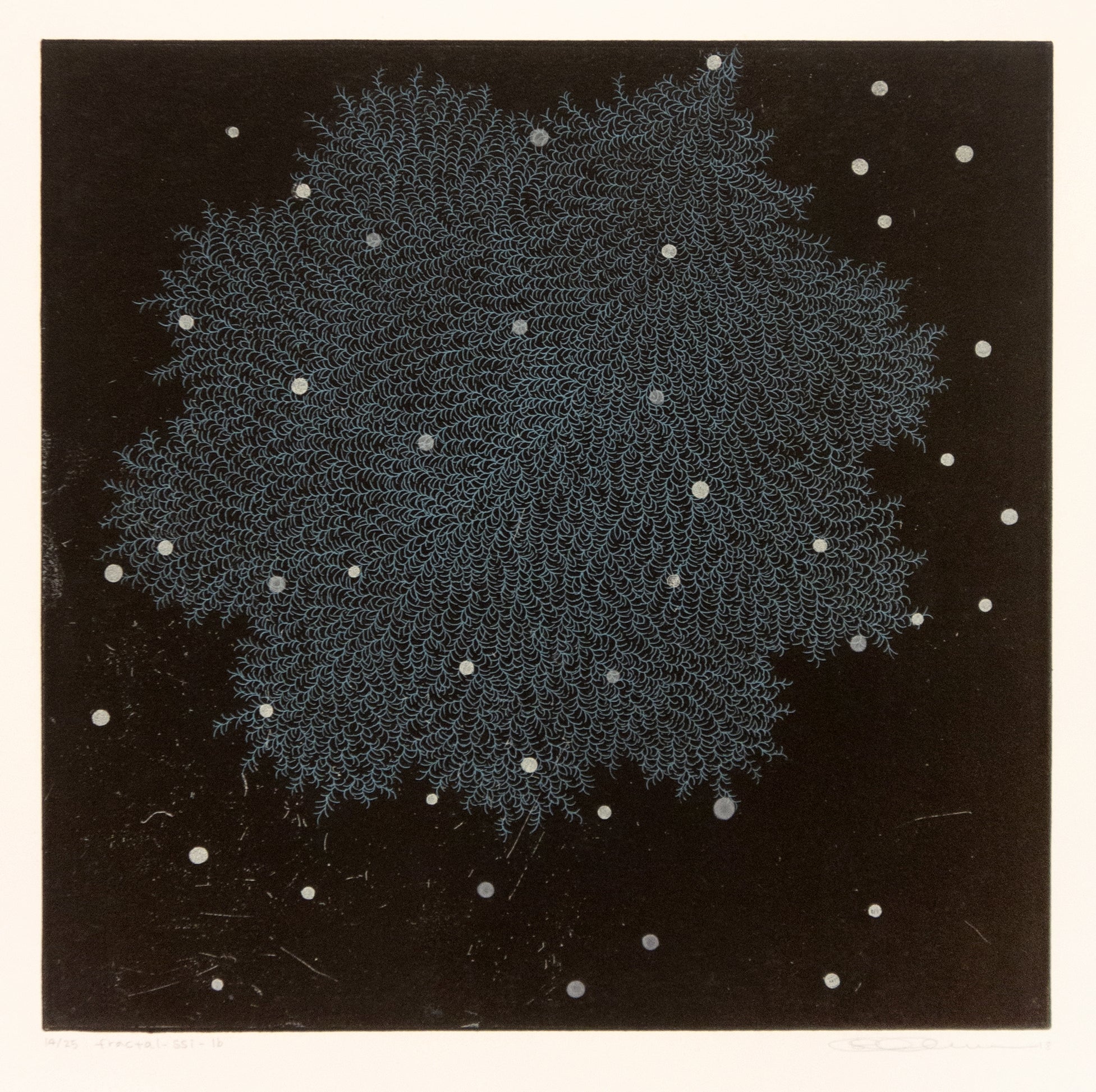 Fractal ssi-1b by Seiko Tachibana - Davidson Galleries